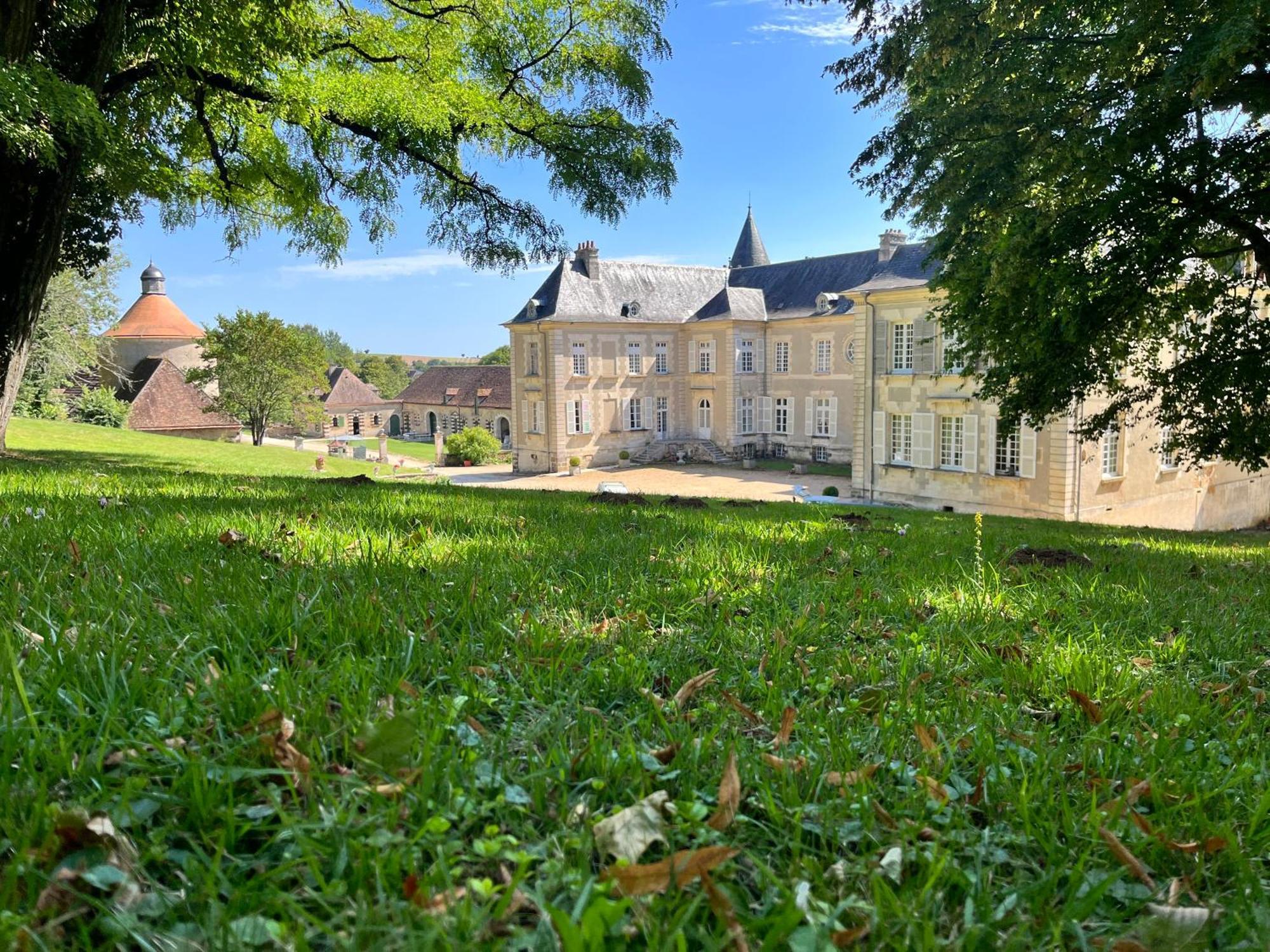 Chateau De Beaujeu Sens-Beaujeu Exteriör bild