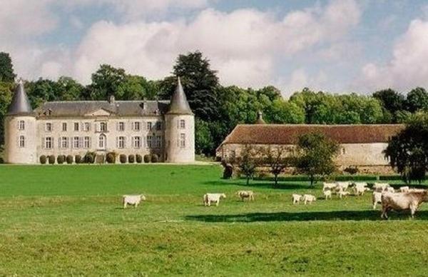 Chateau De Beaujeu Sens-Beaujeu Exteriör bild